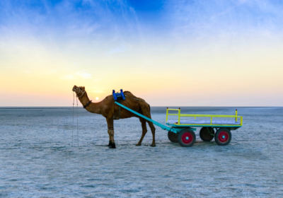 KUTCH: A Canvas of Color in a Sea of White