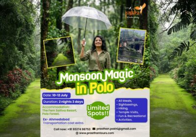 Monsoon Magic in Polo Forest
