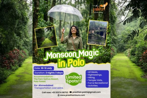 Monsoon Magic in Polo Forest
