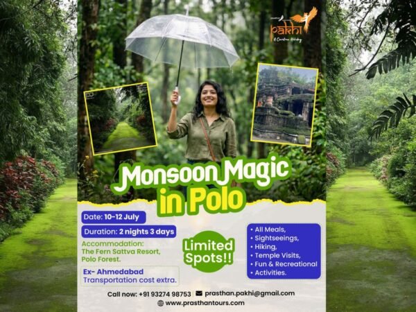 Monsoon Magic in Polo Forest